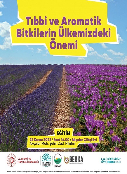 Tıbbi ve Aromatik Bitkilerin Ülkemizdeki Önemi