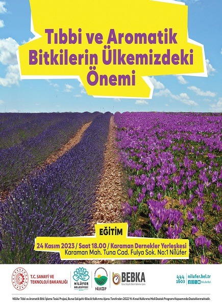 Tıbbi ve Aromatik Bitkilerin Ülkemizdeki Önemi