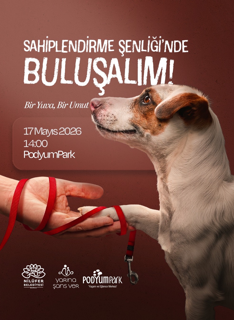 Sahiplendirme Şenliği'nde Buluşalım!