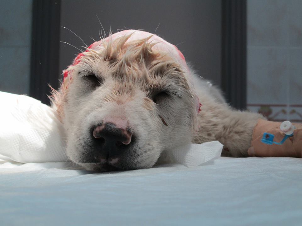 Nilufer Belediyesi Nilufer Belediyesi