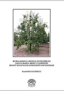 Bursa Koşullarında Yetiştirilen Santa Maria Armut Çeşidinin Hasat Olgunluk Zamanının Saptanması